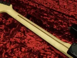 ROOT STRATOCASTER EBONY