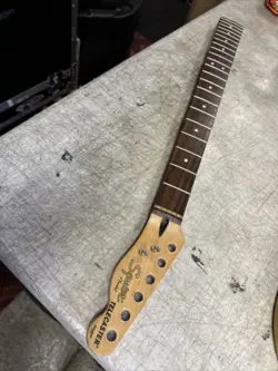 LABEL SQUIER STANDARD