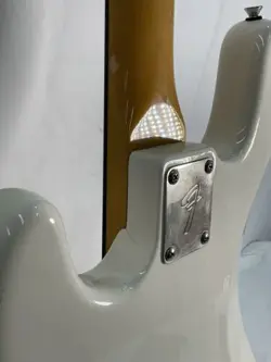 2008 2009 FENDER