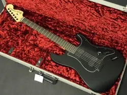 FENDER JIM ROOT STRATOCASTER EBONY