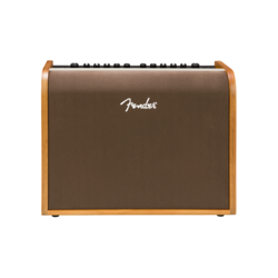 NEW FENDER ACOUSTIC 100 (668)