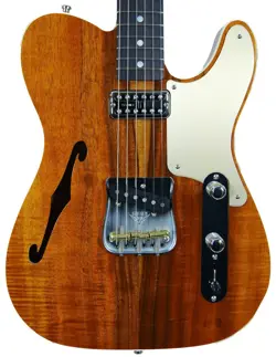 *NEW* 2024 FENDER CUSTOM SHOP LIMITED EDITION THINLINE TELECASTER CABALLO LIGERO