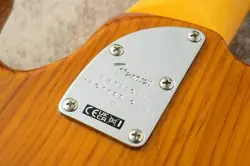 FENDER AMERICAN PROFESSIONAL II JAZZ BASS V -ROASTED PINE-