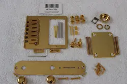 HUMBUCKER TELECASTER GOLD
