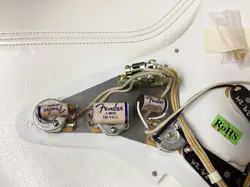 LOADED PICKGUARD HAND