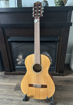 GUITAR FA-15N