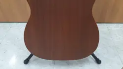 DELUXE ACOUSTIC