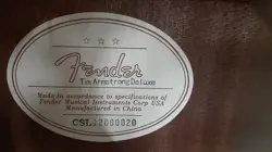 DELUXE ACOUSTIC ELECTRIC