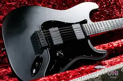 FENDER JIM ROOT STRATOCASTER / 2022 (2022)