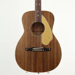 1969 NEWPORTER ACOUSTIC
