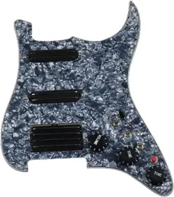 PICKGUARD WITH SSH
