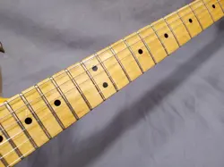 SERIES TELECASTER BUTTERSCOTCH