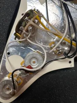 LOADED TORTOISE SHELL