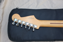 LEFT-HANDED FENDER PLAYER