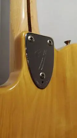 MODEL NATURAL ELECTRIC