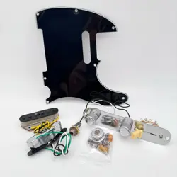 LOADED PICKGUARD 24110