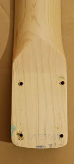 STRATOCASTER 21 FRET