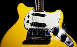 MUSTANG 1965 VINTAGE