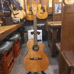 FENDER FA-345CE ECO MANAGEMENT ISA