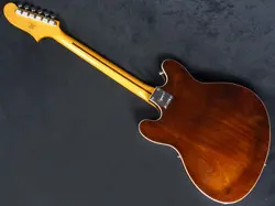 STARCASTER WALNUT 2022