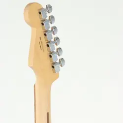 FENDER PLAYER STRATOCASTER PAU FERRO BLACK SAFE DELIVERY FROM JAPAN