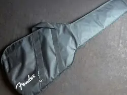 FENDER PLAYER STRATOCASTER PF BLK SAFE DELIVERY FROM JAPAN