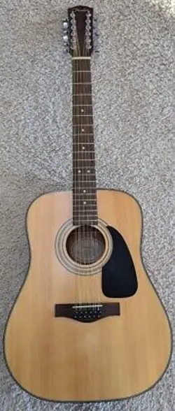 DREADNOUGHT GUITAR W/GIG