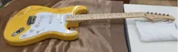 FERNANDES HEART ST FENDER BODY TYPE