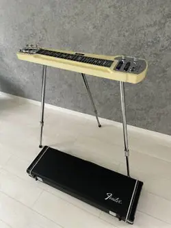 FENDER STEEL GUITAR DELUXE-6 DLX-6 6-STRING ELECTRIC STEEL GUITAR ｗ/HARD CASE