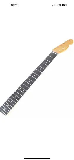 EBONY FRETBOARD TELE