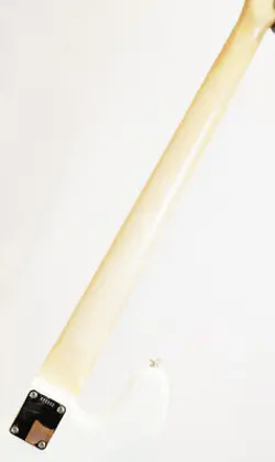 FENDER CUSTOM SHOP 1966 JAZZ BASS NOS OLYMPIC WHITE SAFE DELIVERY FROM JAPAN