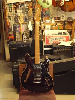 STARCASTER W/SOFT CASE