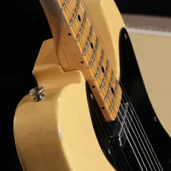 FENDER CUSTOM SHOP2018 LTD NAMM BLACKGUARD THINLINE HEAVY RELIC AGED NOCASTER