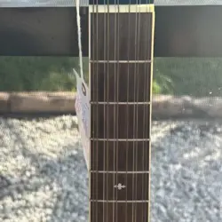 FENDER DG-16E 12-STRING