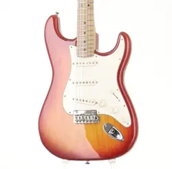 FENDER 2019 LIMITED EDITION AMERICAN PROFESSIONAL STRATOCASTER ROASTED MAPLE
