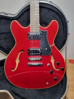 DESIGNED PICKUPS SET