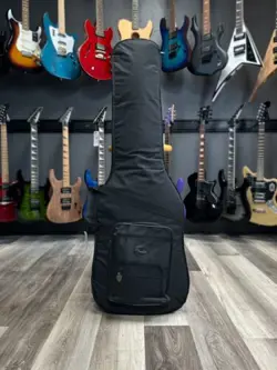 FENDER DELUXE ELECTRIC BASS GIG BAG