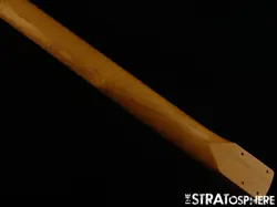 SQUIER CONTEMPORARY HH