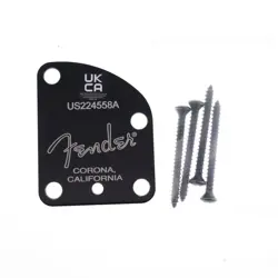 TELECASTER BODY LEFTY