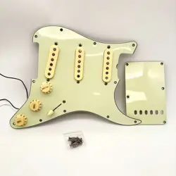 LOADED PICKGUARD 24114