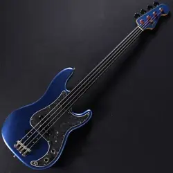 HARD CASE FRETLESS