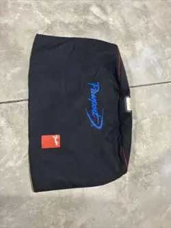 FENDER PASSPORT P250