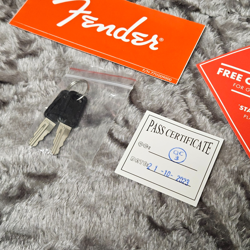 HARDSHELL CASE ELECTRIC