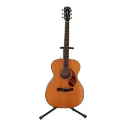 ELECTRIC ACOUSTIC GUITARFENDER