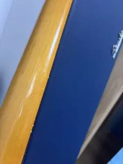 SUNBURST 1991 ELECTRIC