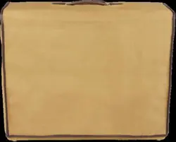 CUSTOM TWIN-AMP 2X12