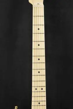 FENDER JAMES BURTON TELECASTER BLUE PAISLEY FLAMES MAPLE FINGERBOARD