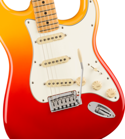 MAPLE FINGERBOARD TEQUILA