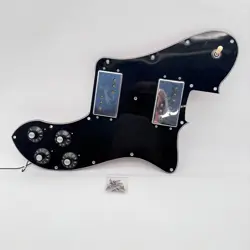 LOADED PICKGUARD 24116