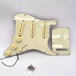 LOADED PICKGUARD 24117